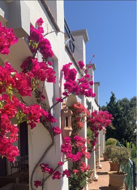 Boutique Hotel Maravilla - Marbella Benahavís Buitenkant foto