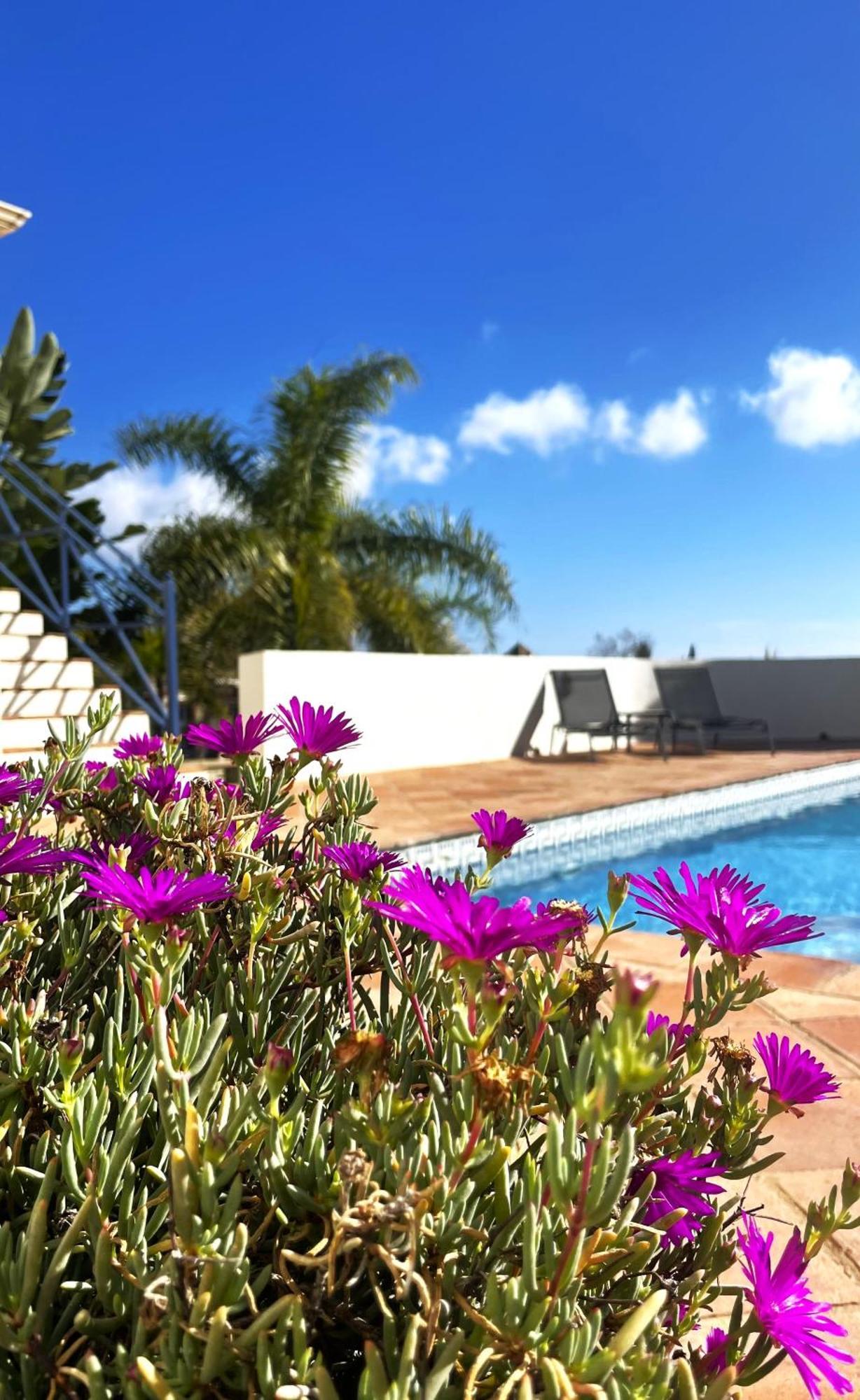 Boutique Hotel Maravilla - Marbella Benahavís Buitenkant foto