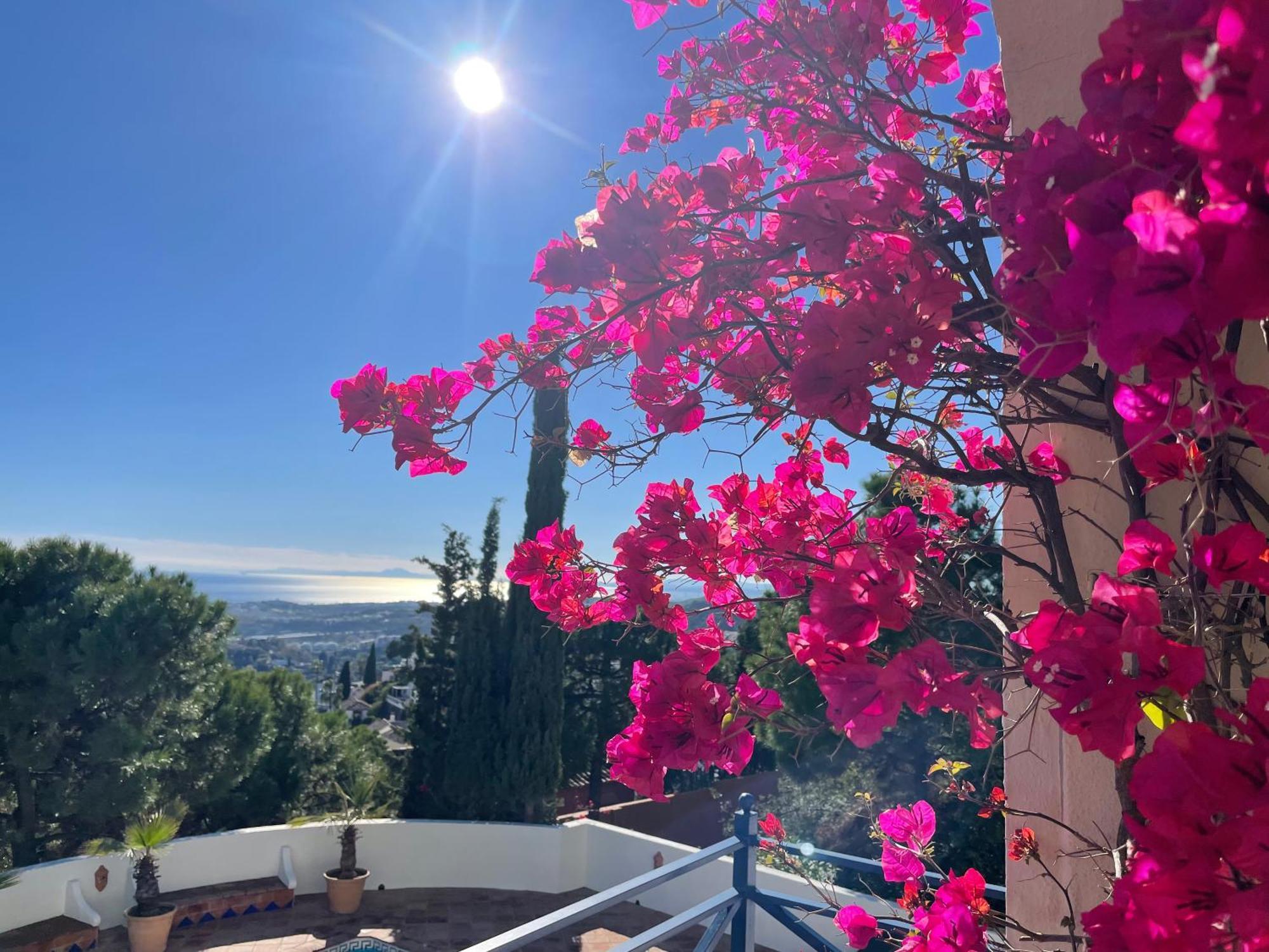 Boutique Hotel Maravilla - Marbella Benahavís Buitenkant foto