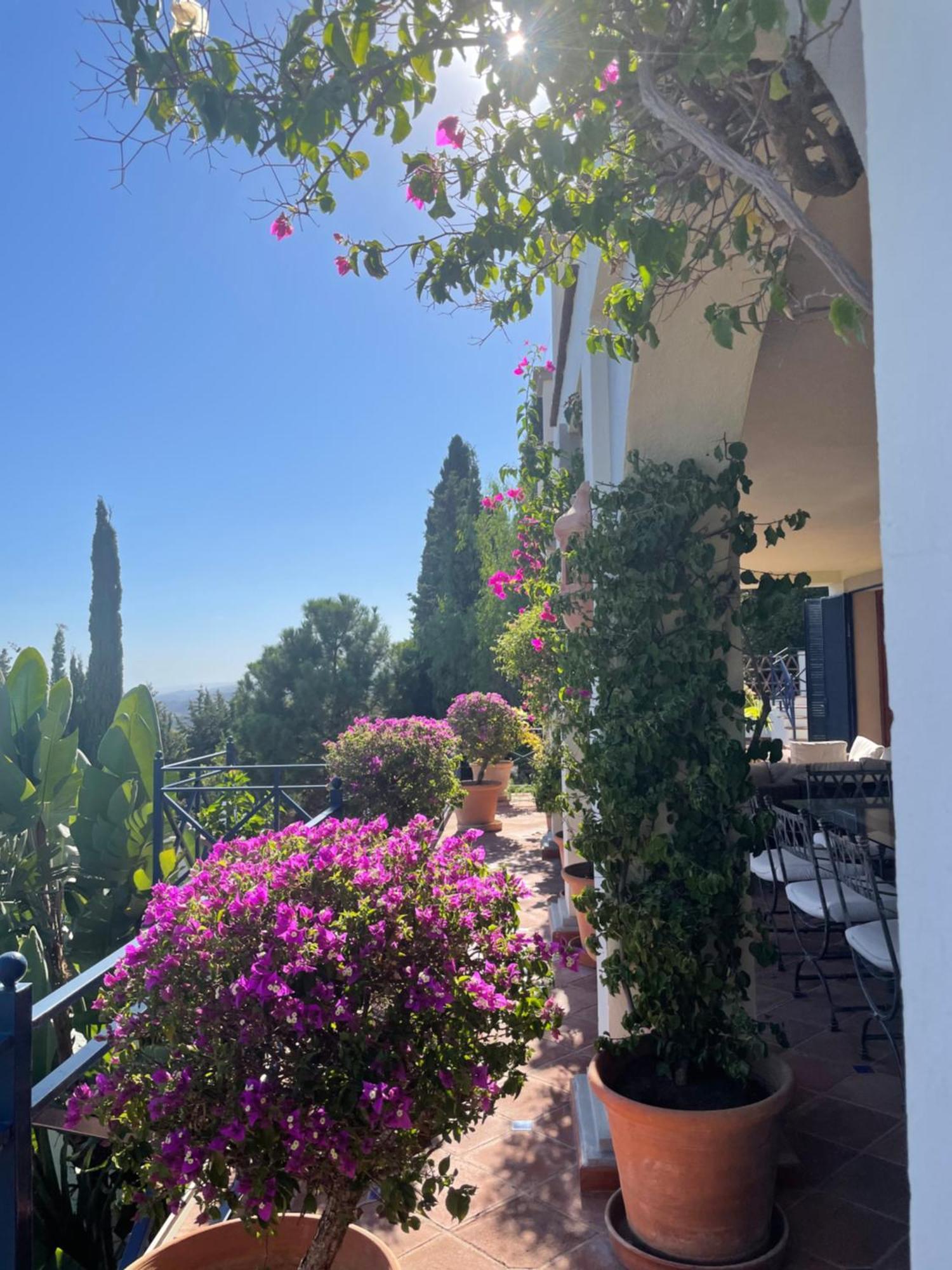 Boutique Hotel Maravilla - Marbella Benahavís Buitenkant foto